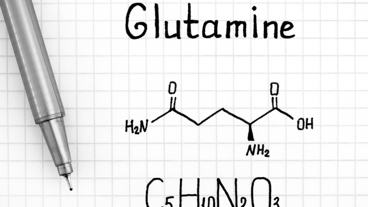 Unlocking the Potential of Glutamine in Health and Cancer Management