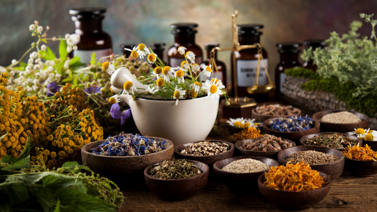 "The Growing Influence of Herbal Medicine in Australian Healthcare"