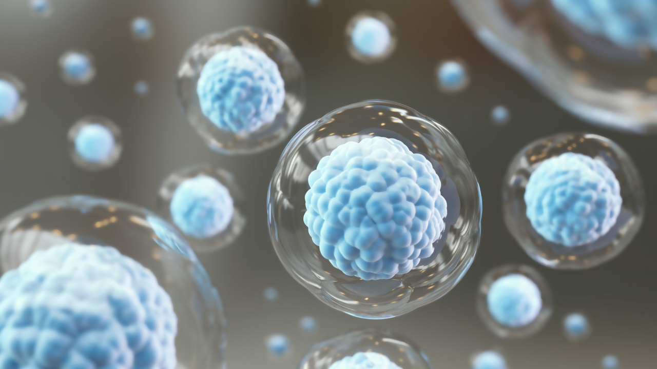 Unlocking the Healing Power of Stem Cells: A Vital Resource for Cancer Patients