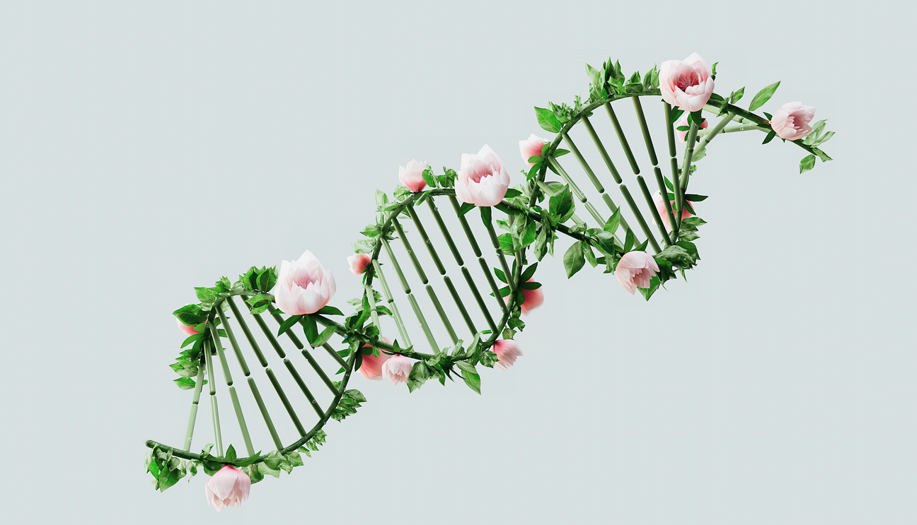 Turning on Telomerase To Stop Cell Aging